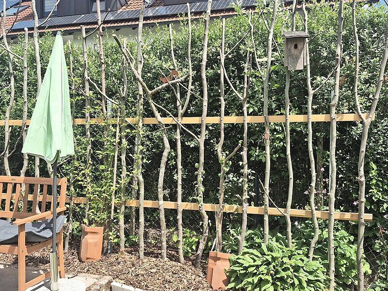 Gartenimpression vom Tag der offenen Gartent&uuml;r 2026 im Landkreis Bad Kissingen.