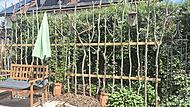 Gartenimpression vom Tag der offenen Gartent&uuml;r 2026 im Landkreis Bad Kissingen.