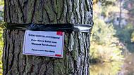 Langwassersee in Nürnberg verunreinigt