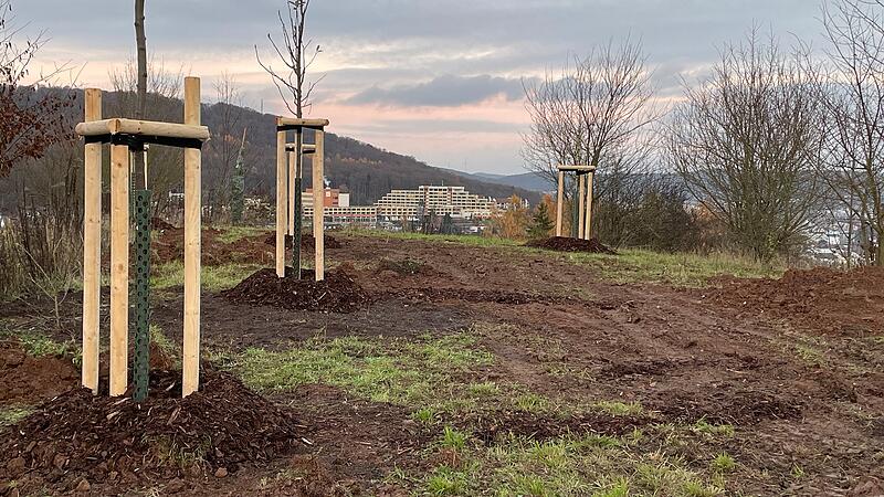 Das Arboretum soll Ausflugsziel und Umweltbildungsst&auml;tte, mit Ausblick auf die Stadt. Hier in der Bildmitte ist die Seniorenresidenz Parkwohnstift in Garitz.