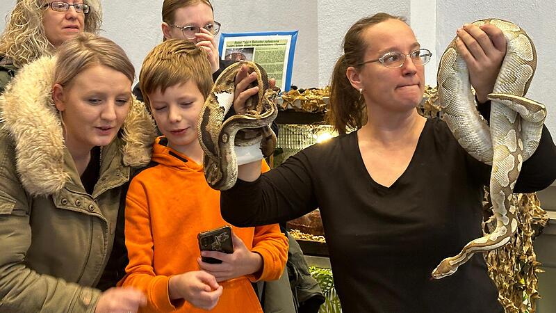 Pythonschlangen würgen ihre Beute. Die Besucher der Reptilienschau waren sichtlich beeindruckt. Pythonschlangen würgen ihre Beute. Die Besucher der Reptilienschau waren sichtlich beeindruckt.