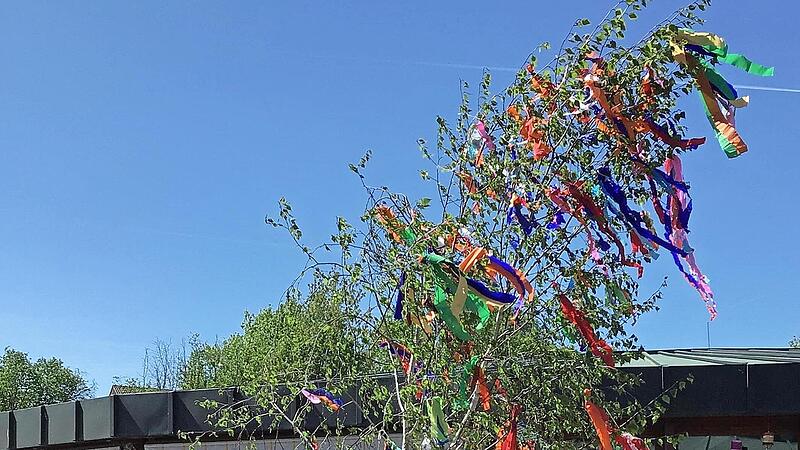Tanz in den Mai an der Katharinen-Schule.
