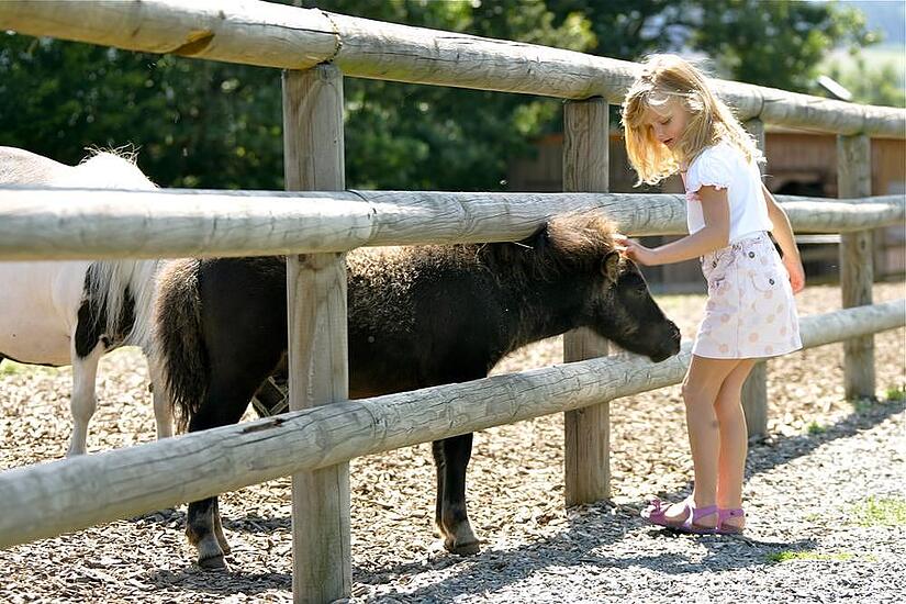 Erlebnishof Frankenfarm