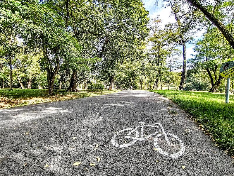 Seit August 2022 ist das Radfahren in Coburger Parks auf einigen Wegen offiziell erlaubt. Und obwohl es einigen &Auml;rger gibt, will der Stadtrat es im Hofgarten weiterhin zulassen.