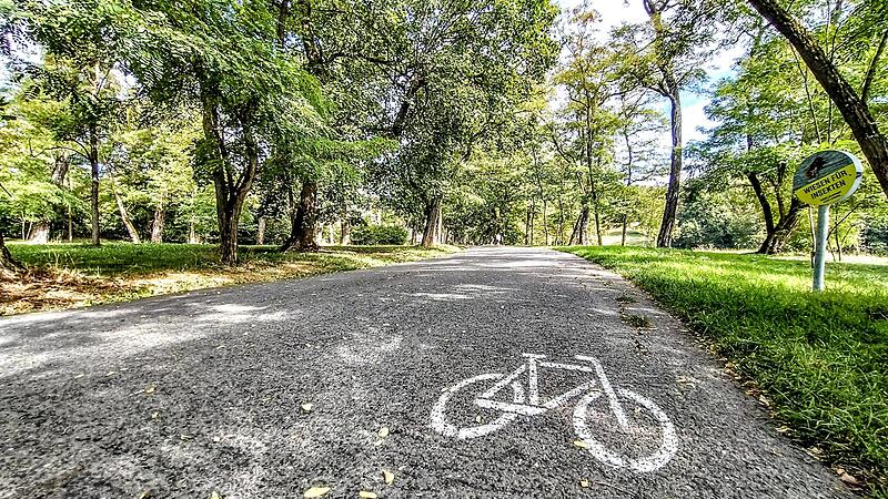 Seit August 2022 ist das Radfahren in Coburger Parks auf einigen Wegen offiziell erlaubt. Und obwohl es einigen &Auml;rger gibt, will der Stadtrat es im Hofgarten weiterhin zulassen.
