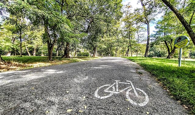 Seit August 2022 ist das Radfahren in Coburger Parks auf einigen Wegen offiziell erlaubt. Und obwohl es einigen &Auml;rger gibt, will der Stadtrat es im Hofgarten weiterhin zulassen.