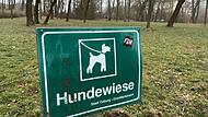 Hundewiese im Coburger Hofgarten Hundewiese im Coburger Hofgarten