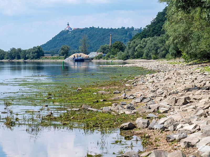 Niedrigwasser Donau