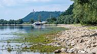 Niedrigwasser Donau Niedrigwasser Donau