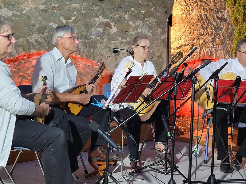 Von ihnen sollte man mehr hören: die „Zeiler Saiten“. Ein Quartett mit zwei Mandolinen einer Mandorla und einer Gitarre.