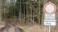 Porsche im Wald