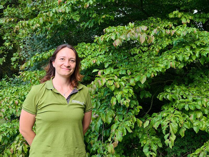 Revierförsterin Rita Kraus ist auch für den Stadtwald von Ebermannstadt zuständig.Forchheim & Fränkische Schweiz Revierförsterin Rita Kraus ist auch für den Stadtwald von Ebermannstadt zuständig.Forchheim & Fränkische Schweiz