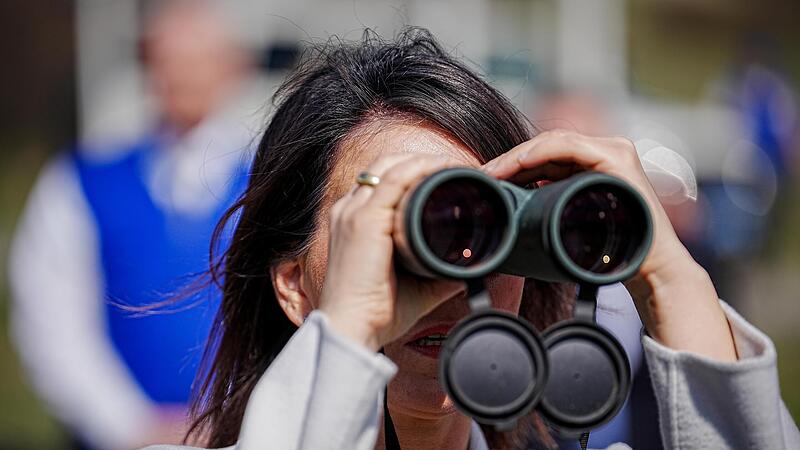 Au&szlig;enministerin Annalena Baerbock blickt an der Verwaltungslinie zu S&uuml;dossetien durch ein Fernglas.