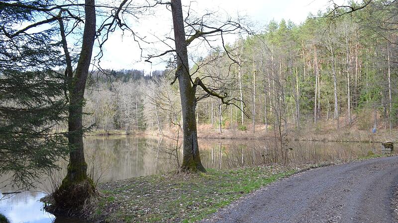 Der M&ouml;nchr&ouml;dener Forst mit seinen gut augebauten Wegen und vielen Teichen ist ein Erholungswald.