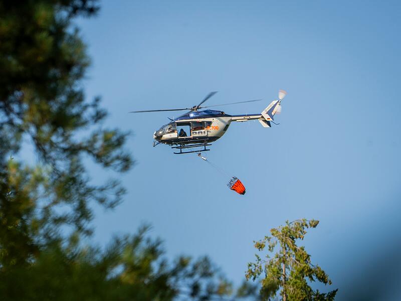 Waldbrand in Hessen
