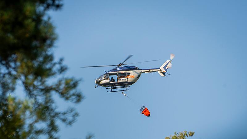 Waldbrand in Hessen Waldbrand in Hessen