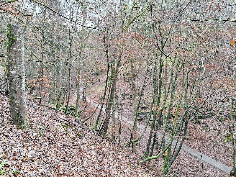 Wildpark Hundshaupten
