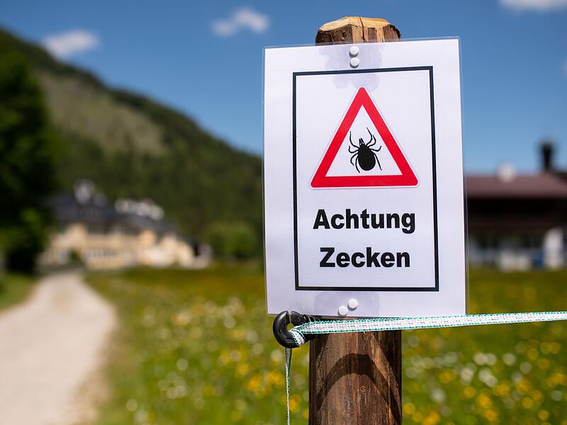 Achtung Zecken