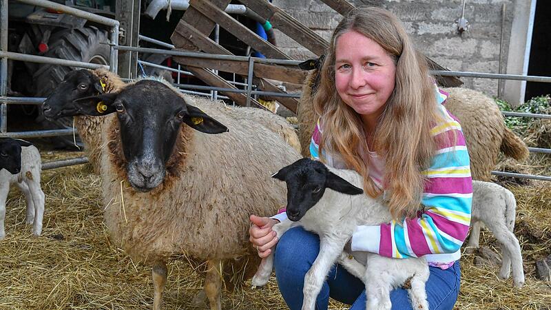 Die Schafe werden auf Michaels von der Lindens Hof nach Bio-Richtlinien gehalten.