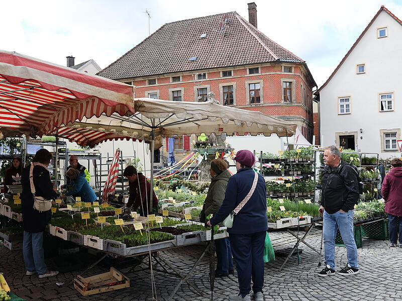 Die Zwiebelaskerwa in Thurnau war wieder Publikumsmagnet.
