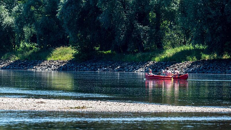 Darum ist die Hitze f&uuml;r Main und Donau kritisch