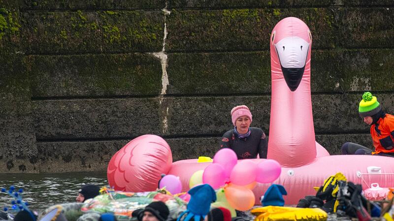 Donauschwimmen Donauschwimmen