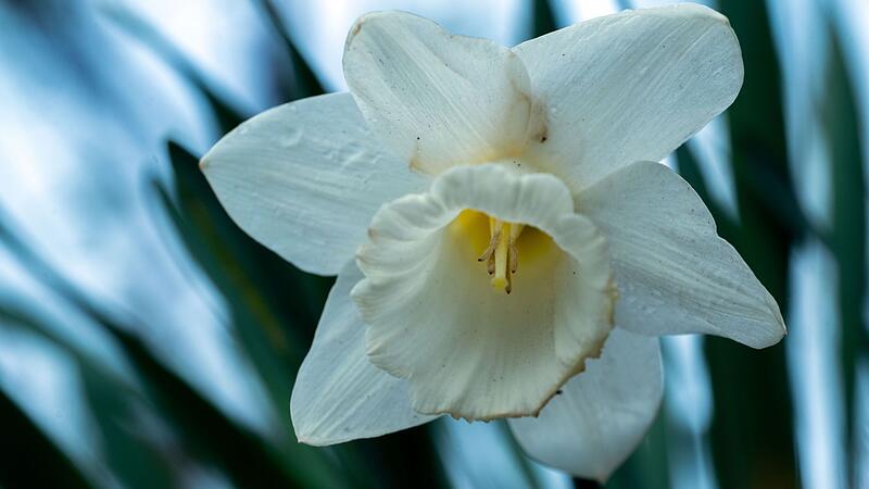 Wetter in Nordbayern Wetter in Nordbayern