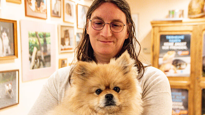 Hund Bounty ist eines der Tiere, die in K&ouml;dnitz auf ein neues Zuhause warten. Tierheimleiterin Angelika Enzmann setzt sich in Vollzeit f&uuml;r ihre Sch&uuml;tzlinge ein.