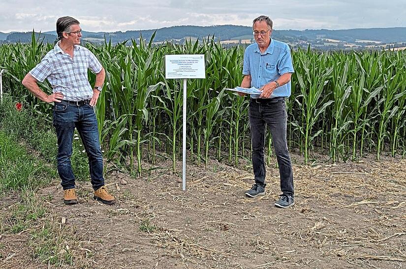 Pflanzenbauberater Fritz Asen (rechts) und Versuchsbetriebsleiter Hubertus von Künsberg stellen auf dem Testfeld in Schmölz den Versuch vor.Ulf Felgenhauer Pflanzenbauberater Fritz Asen (rechts) und Versuchsbetriebsleiter Hubertus von Künsberg stellen auf dem Testfeld in Schmölz den Versuch vor.Ulf Felgenhauer