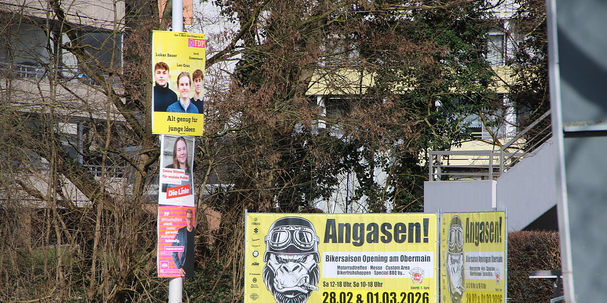 Der größte Affe im Coburger Plakate-Dschungel