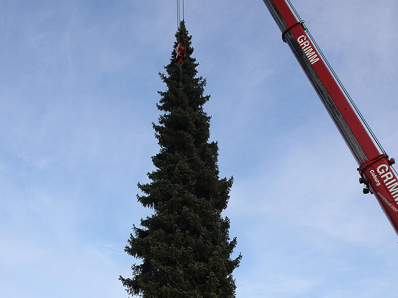 Coburg f&auml;llt seinen WeihnachtsbaumCoburg f&auml;llt seinen Weihnachtsbaum