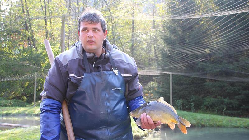 Karpfensaison Fischzucht Seidmannsdorf