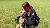 Hund in Reichenbach entlaufen: Zweite Chance für "Christo"