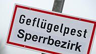 Vogelgrippe