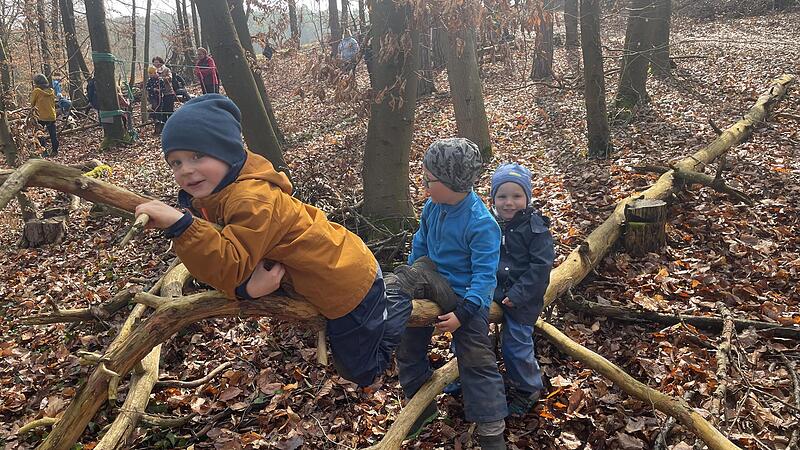 Umgestürzte Bäume bieten tolle Klettermöglichkeiten. Umgestürzte Bäume bieten tolle Klettermöglichkeiten.