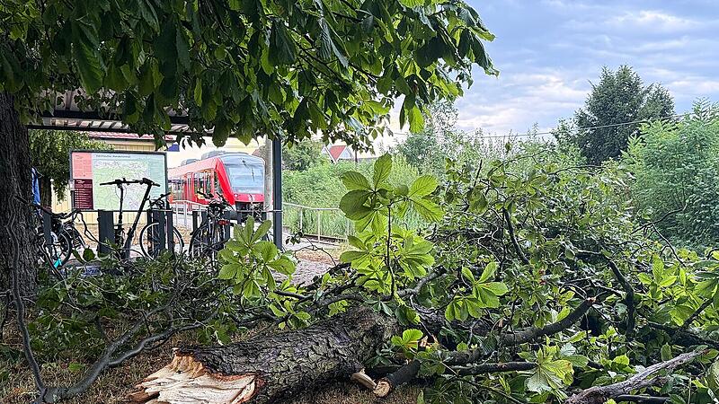 Kalchreuth: Kollision von Zug mit Baum