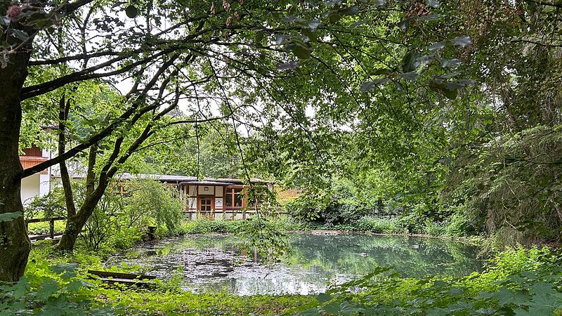 Idylle pur Zum ehemaligen Gasthaus „Rennerwald“ in Grub am Forst gehört auch ein großer Garten mit zwei Teichen.