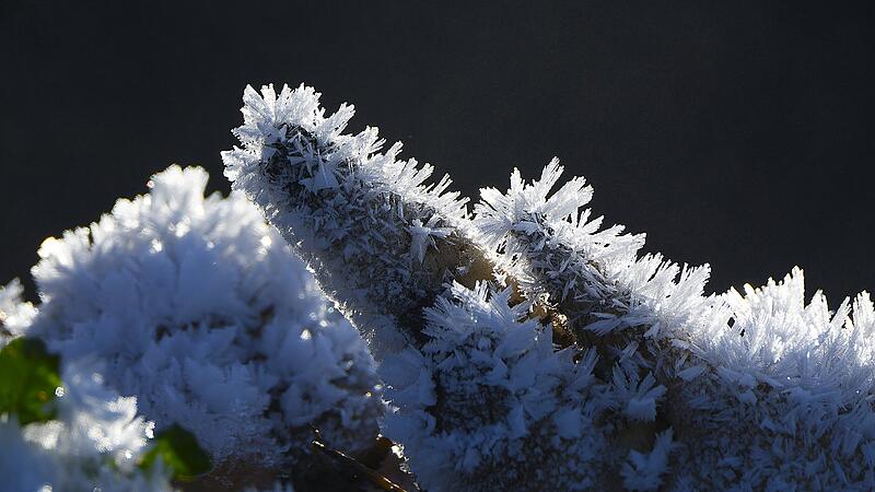 Die Aufnahme zeigt am Feldrand gelagerte Zuckerrüben in Maßbach, auf denen die frostige Temperatur der vergangenen Nacht faszinierende Eiskristalle hat wachsen lassen. „Was schön für das Auge des Betrachters ist, kann jedoch für die Zuckerrübe schlecht sein. Weshalb Landwirte vor angekündigten Frost ihre Zuckerrüben mit einem Vlies abdecken“, schreibt der Leser.