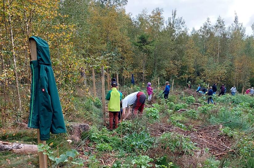Auf einem Waldst&uuml;ck zwischen Elsa und Grattstadt pflanzten Bad Rodacher Kinder 200 B&auml;ume.