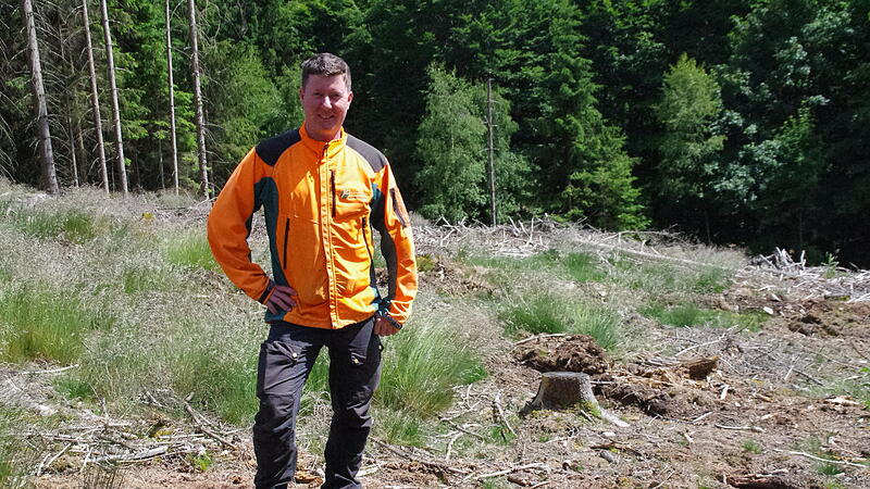 Wald Tettau