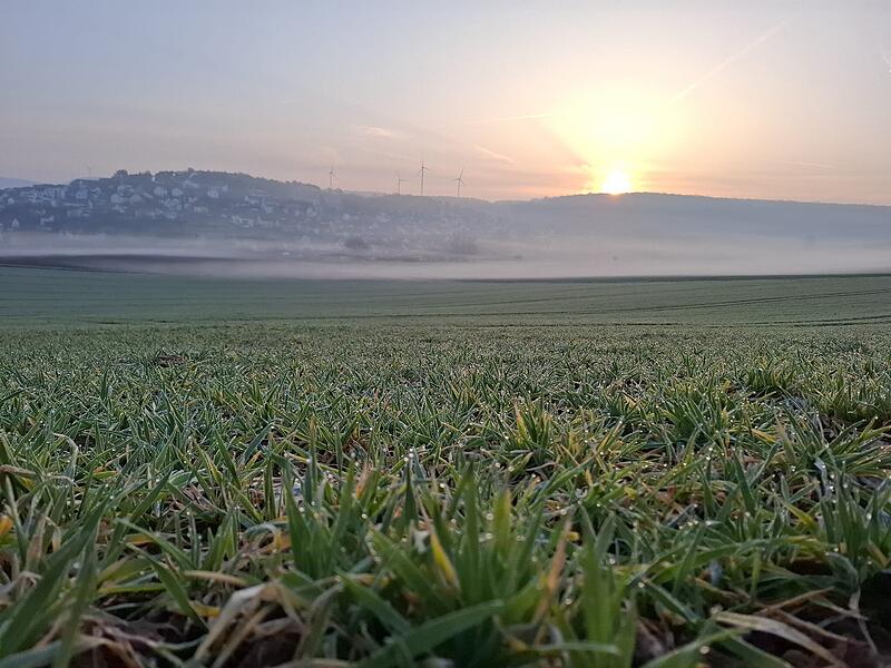 &bdquo;Der Sonnenaufgang am Tag nach der Wahl. Egal wie die Ergebnisse ausgegangen sind, die Sonne geht wieder auf, das Leben geht weiter. Die Natur zeigt sich von ihrer sch&ouml;nen Seite. Dazu &bdquo;Morgenstimmung&ldquo; von Peer Gynt Suite Nr. 1 und der Tag kann beginnen.&ldquo;