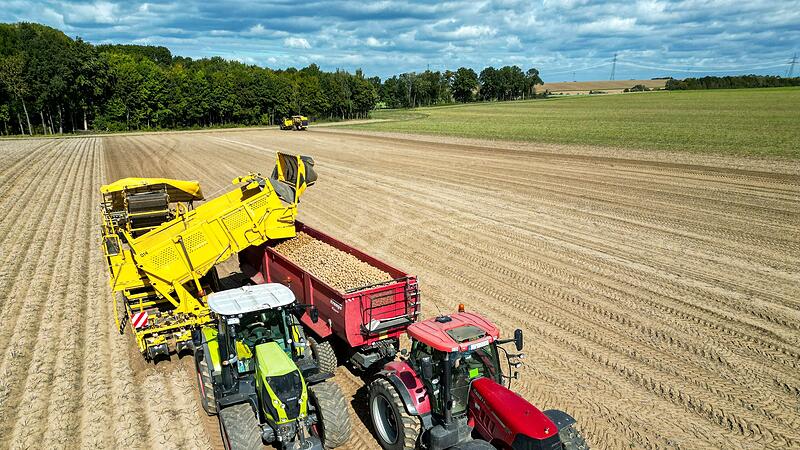 Kartoffelernte Kartoffelernte