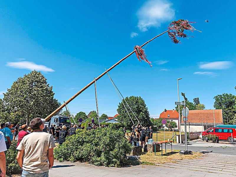 Der Kerwasbaum erreichte luftige H&ouml;hen.Frederike Rodewald