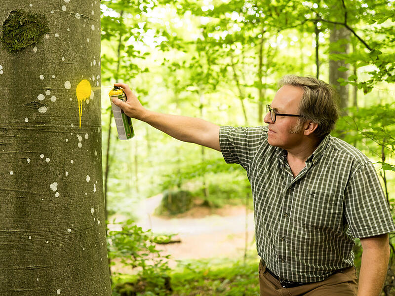 Heinrich Freiherr von P&ouml;lnitz bekam einen Bayerischen Staatspreis f&uuml;r vorbildliche WaldbewirtschaftungHeinrich Freiherr von P&ouml;lnitz erhielt den Bayerischen Staatspreis f&uuml;r vorbildliche Waldwirtschaft