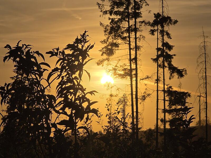 Sonnenfinsternis Sonnenfinsternis