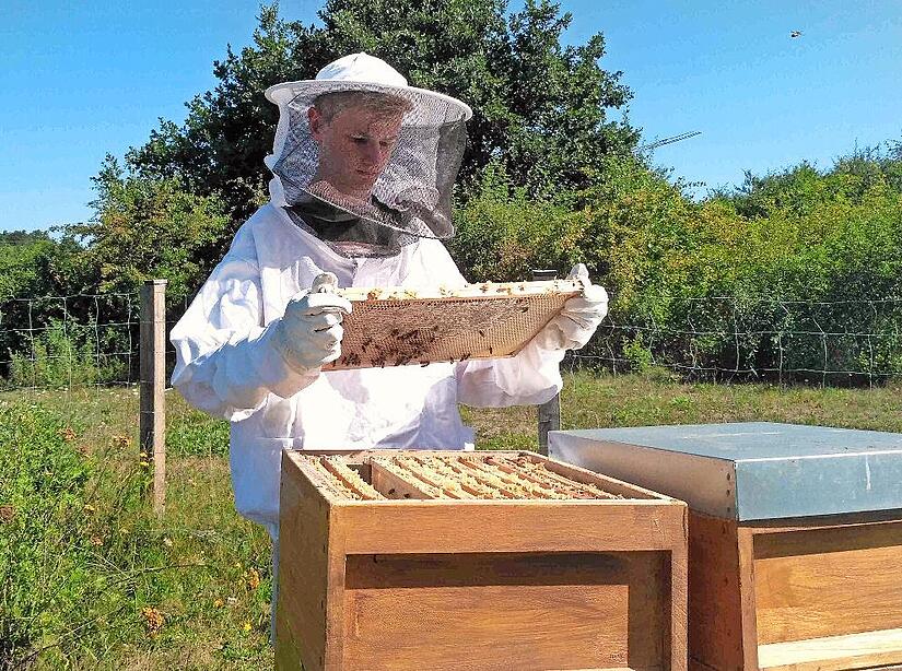 Erik Busch mit den Schulbienen in Hemhofen
