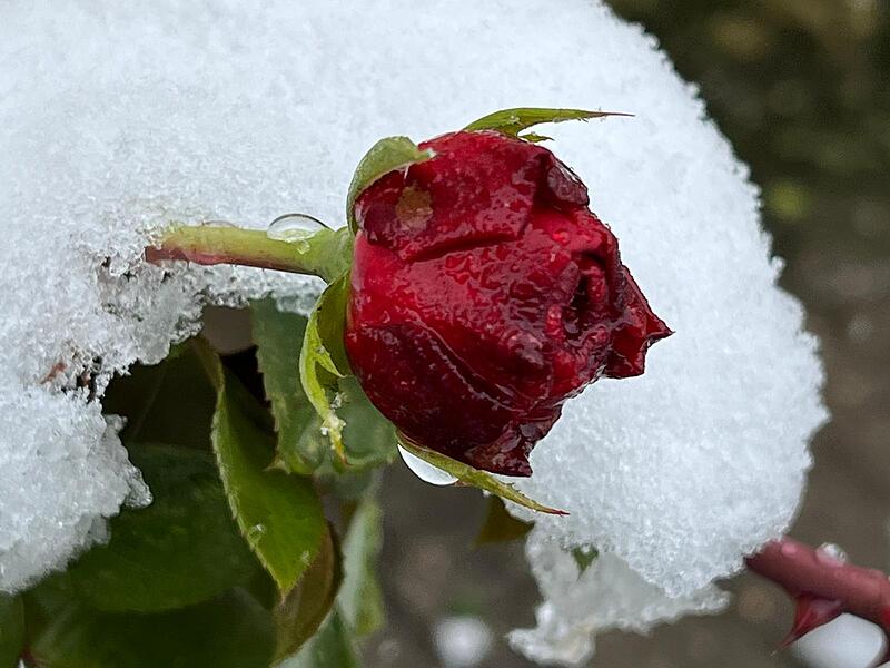 So sch&ouml;n ist die Fr&auml;nkische Schweiz im ersten Schnee der Saison 2023/24
