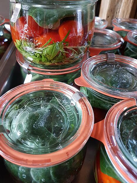Fermentierte Tomaten f&uuml;llt Christina Fallenbacher in Weckgl&auml;ser.