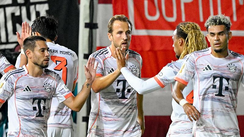SV Wehen Wiesbaden - Bayern München