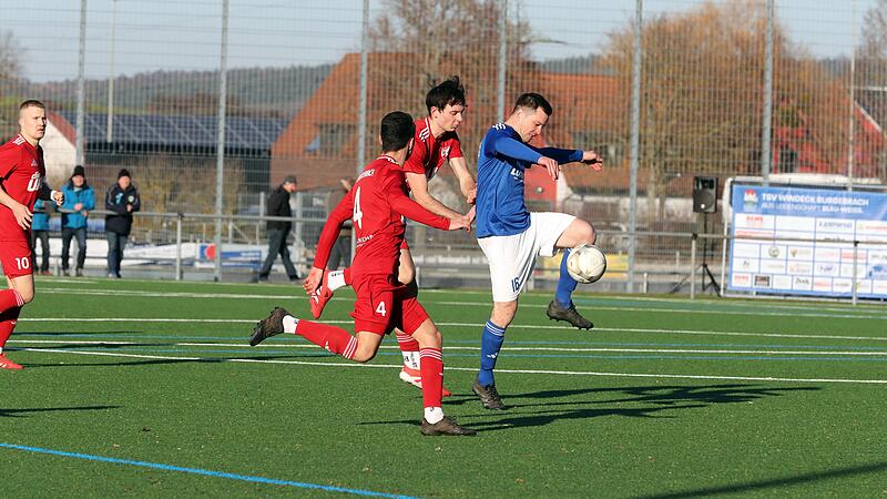 Burgebr gg Unterreichenbach 221125 12 Schwarm